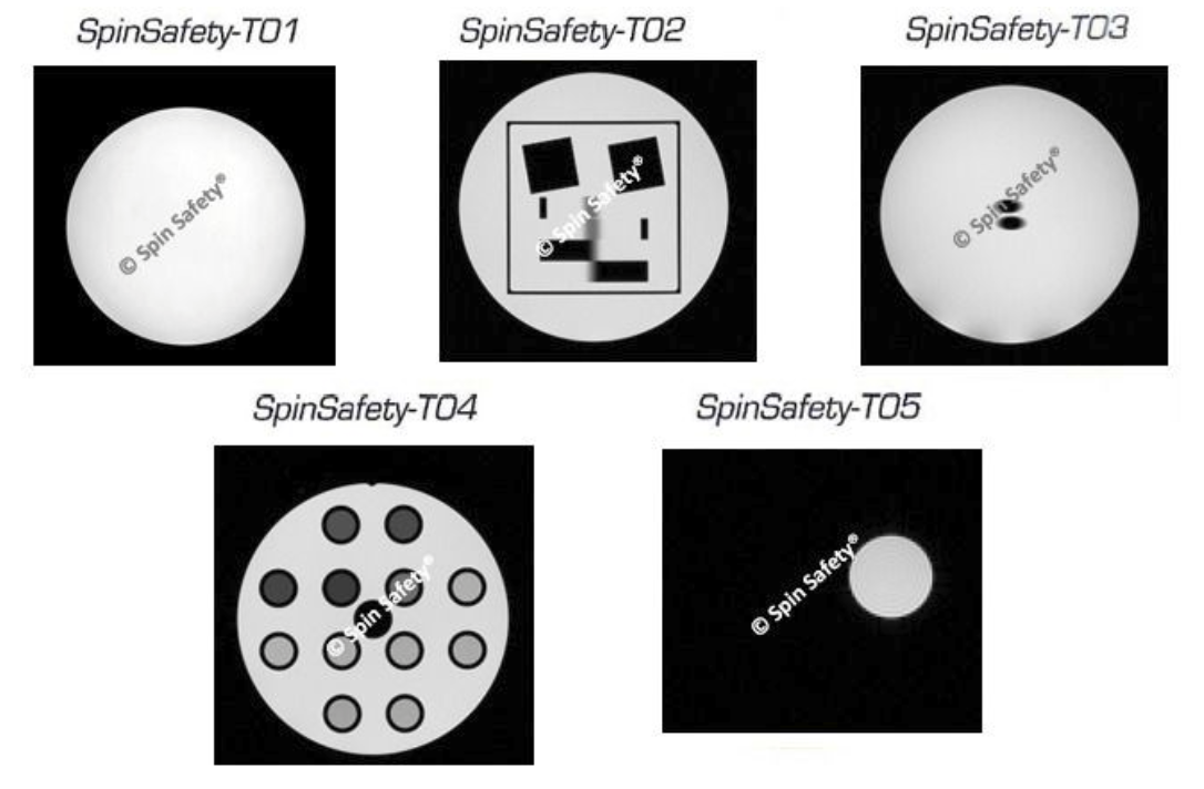 SpinSafety-Basic MRI