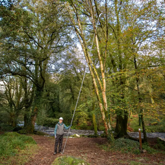 Telescopic pole 10m