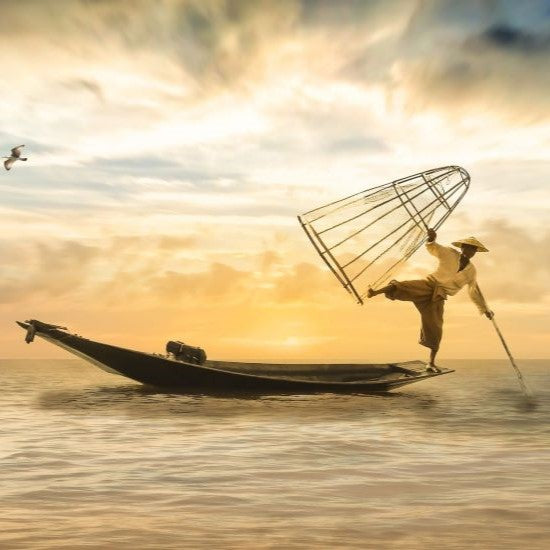 Executive Search & Talents Acquisition