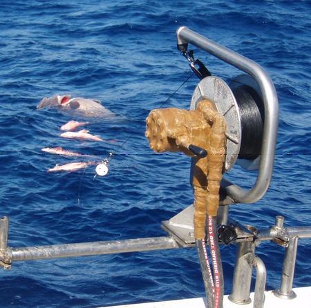 commercial fishing electric reels Hydraulic Fishing Reel – Suppliers from Bretagne