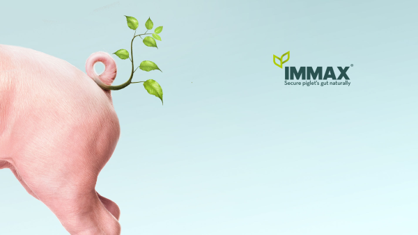 Immax®