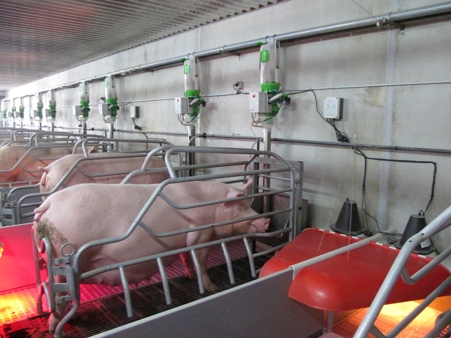 Intelligent feeding system