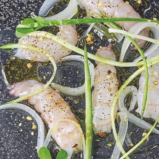 Langoustines - Nephrops Norvegicus