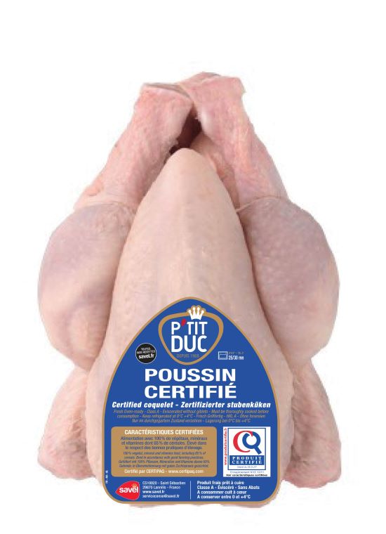 Poussin P'TIT DUC PAC