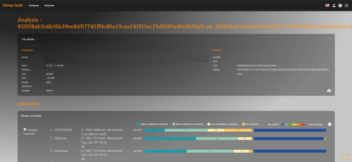 GLIMPS Audit