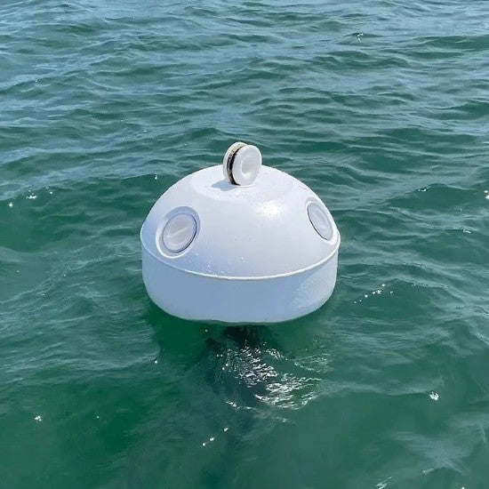Temano® buoy