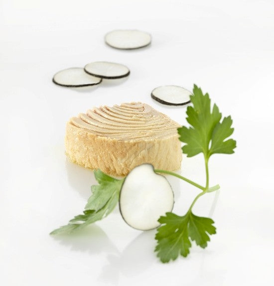 Mouettes d’Arvor – Premium French Canned Tuna from Brittany