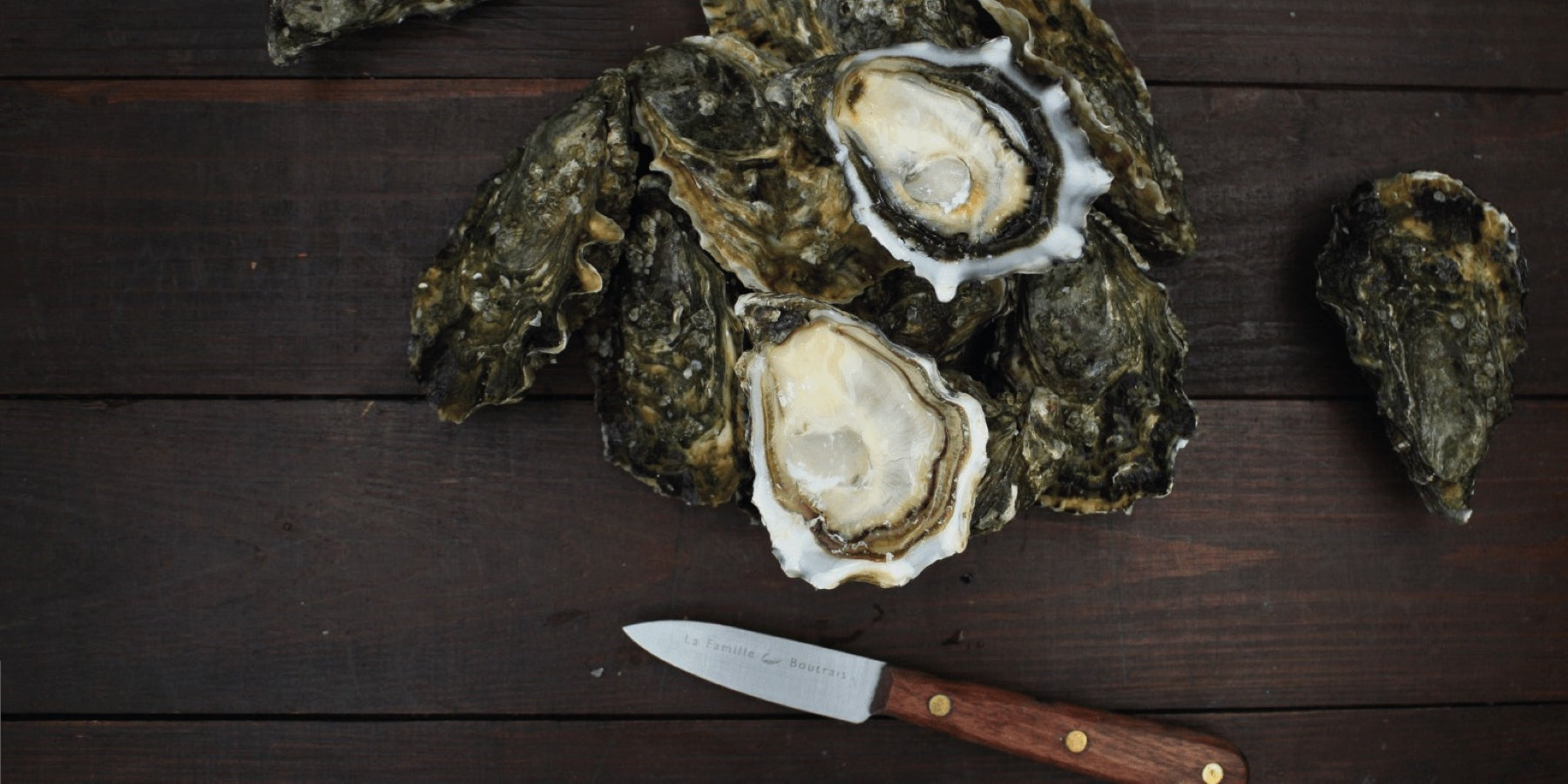 Banner LA FAMILLE BOUTRAIS