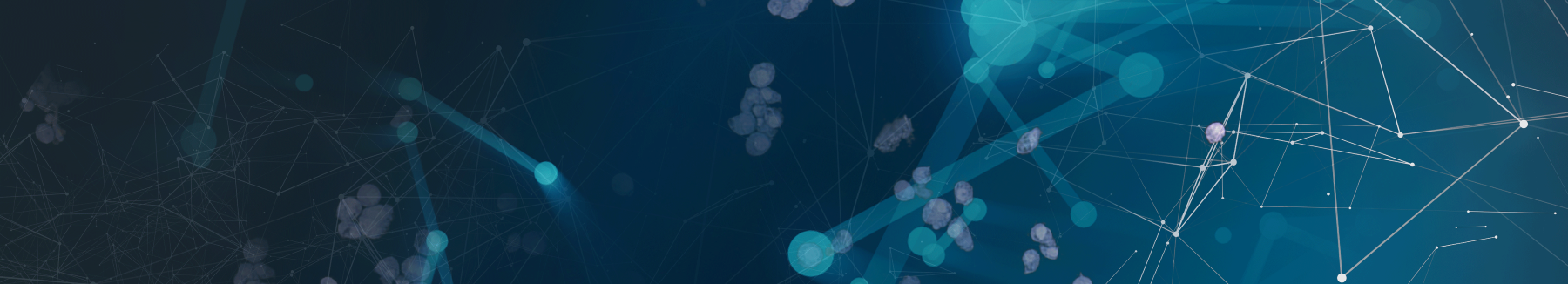 Banner VITADX INTERNATIONAL