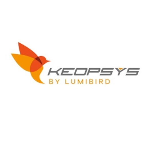 KEOPSYS INDUSTRIES