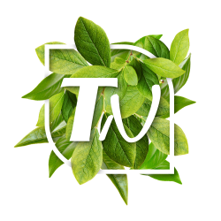 TECHNATURE (DIRINON)