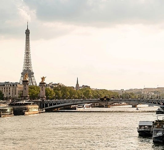 Shine in Your Business Conversations in French (FLE)