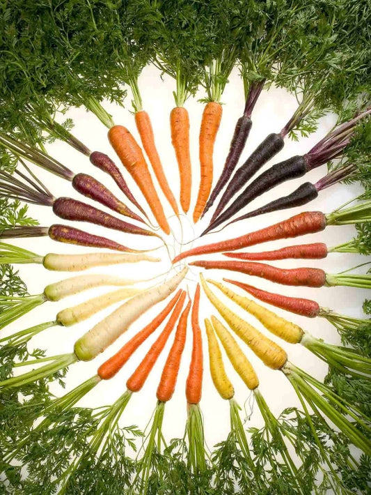 Carrots