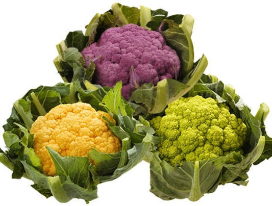 Coloured Cauliflower