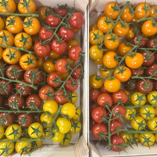 Tomatoes