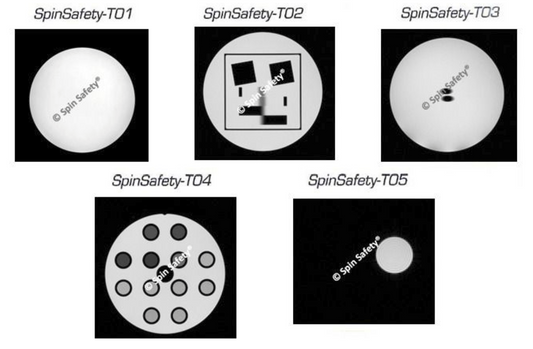 SpinSafety-Basic MRI