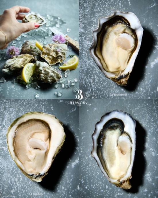Oysters Beaulieu 1956