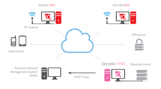 DECODIO PINK
