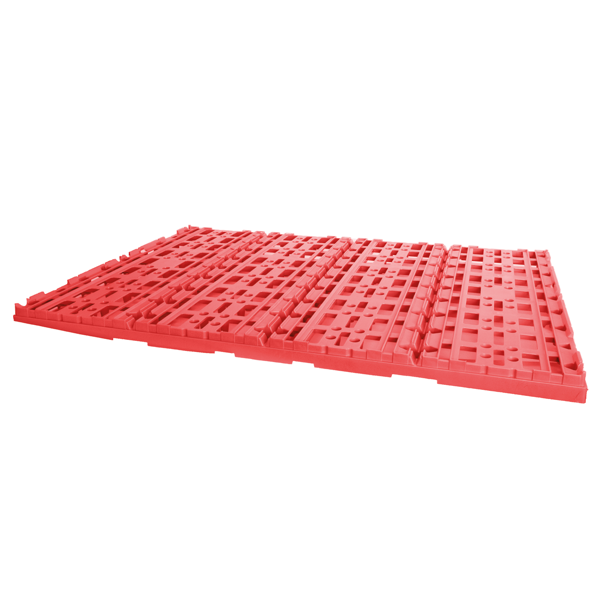 Egg Trays Divider