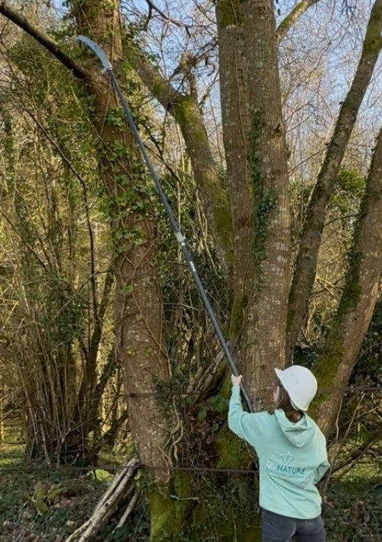 Telescopic pole 2 tubes