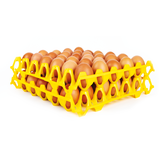 Egg Trays