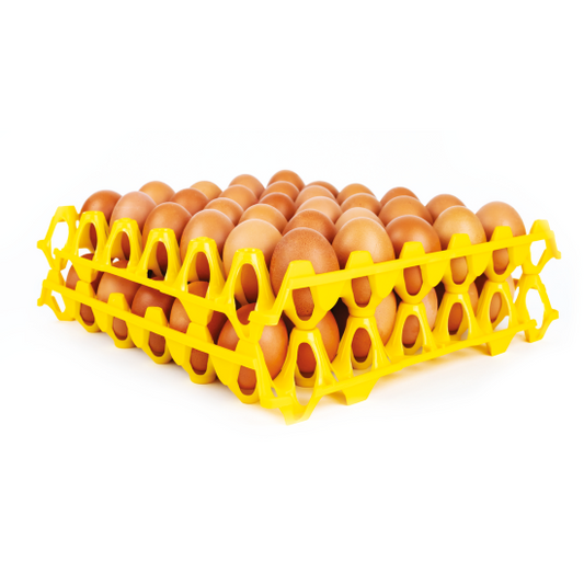 Egg Trays