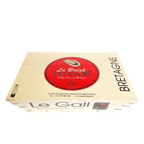 HUITRES / OYSTERS / OSTRAS