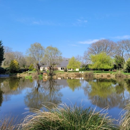 Immersion Language Stay