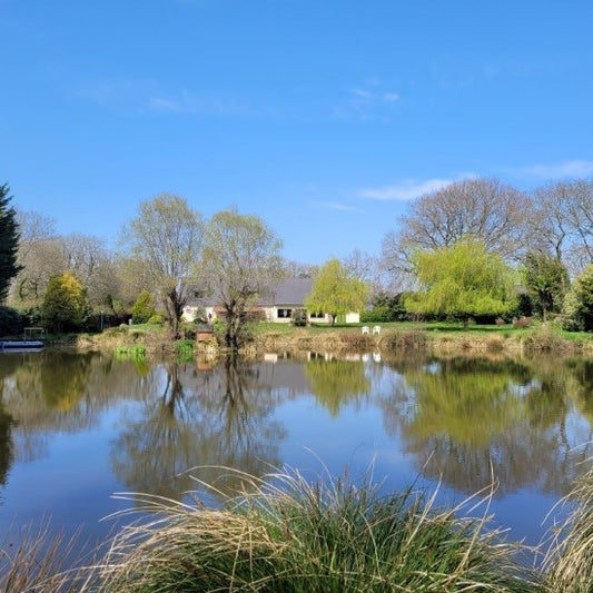 Immersion Language Stay