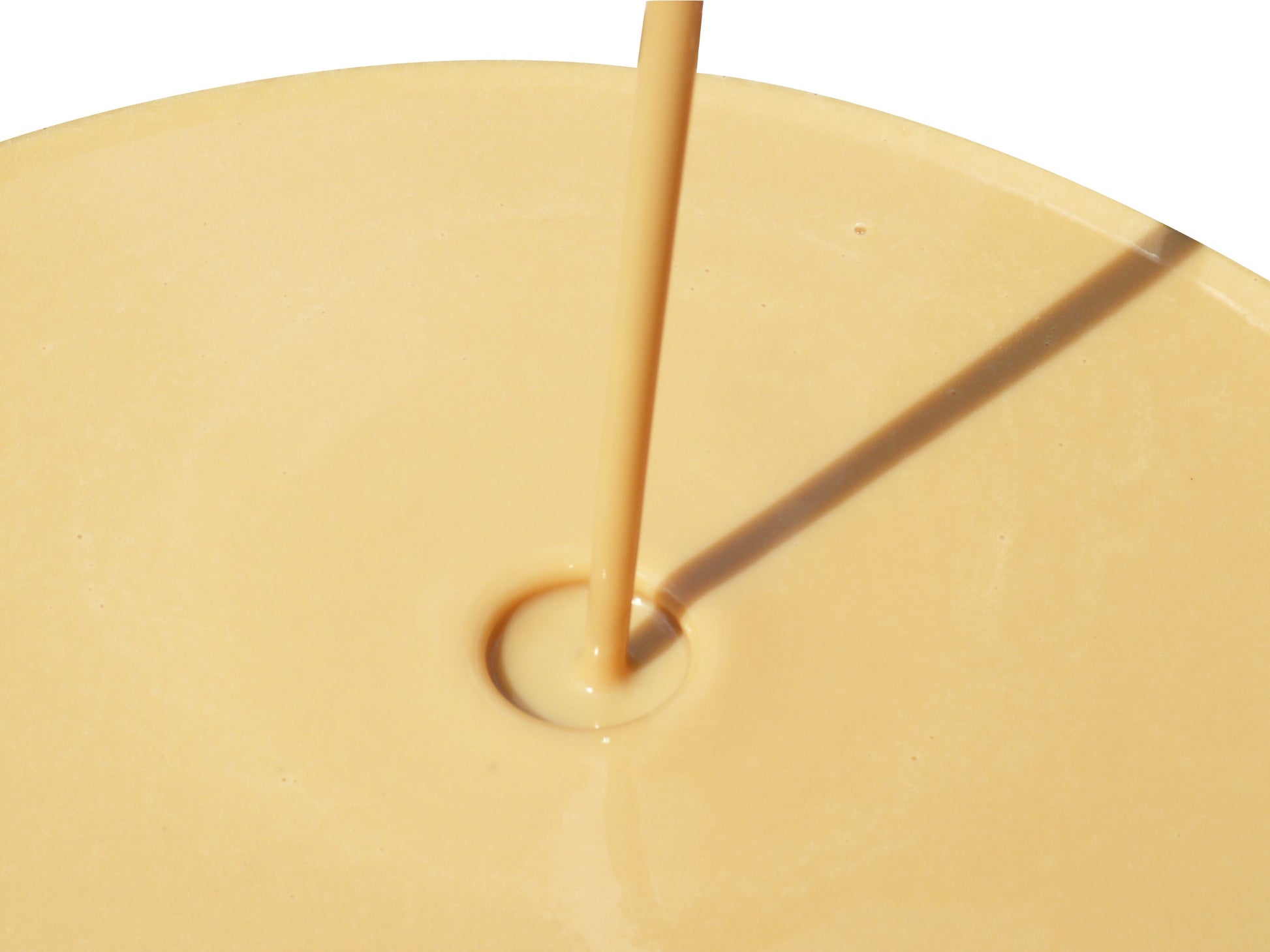 Inactivated Yeasts