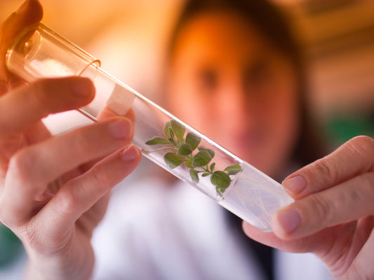 Plant breeding technologies