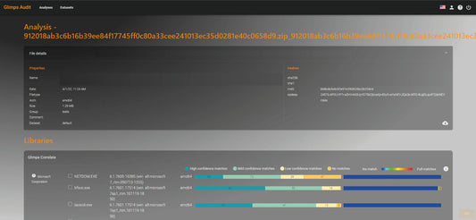GLIMPS Audit