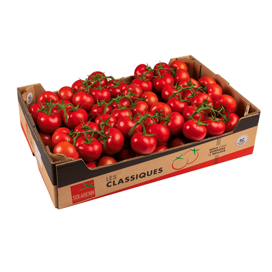 The Tomato on the Vine