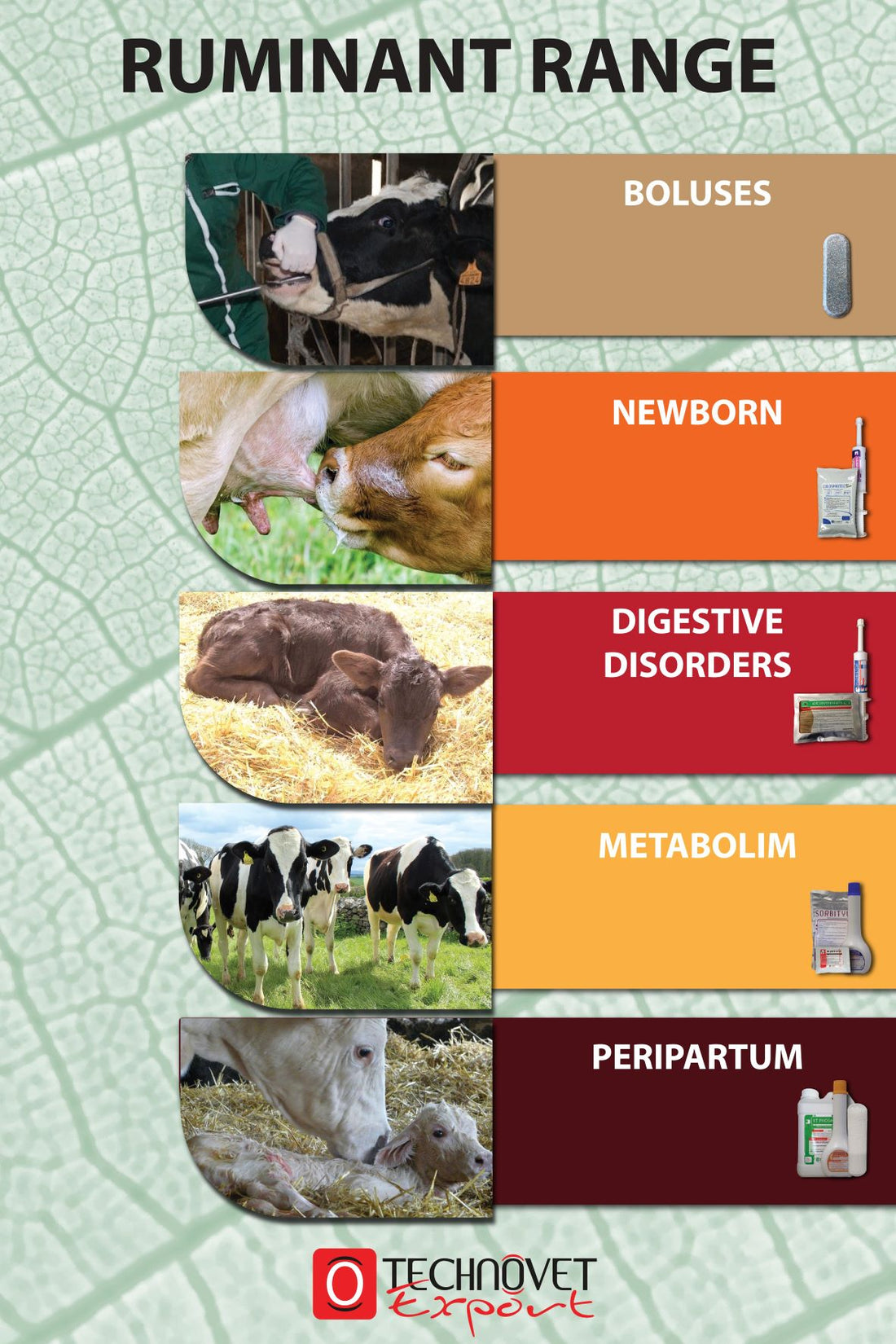 Pipe Ruminant Ruminant Range – Suppliers from Bretagne