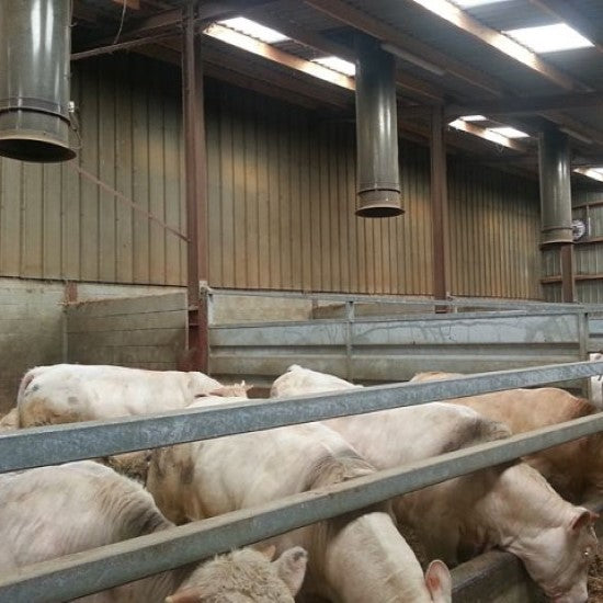 Pipe Ruminant Ruminants Solutions – Suppliers from Bretagne