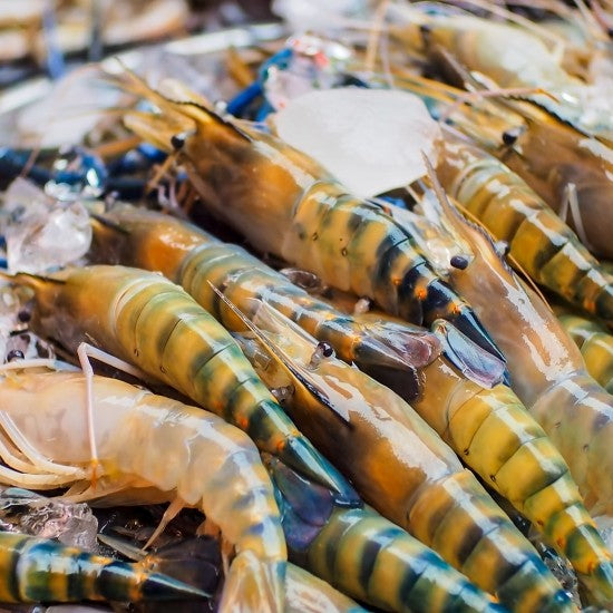 Seasonal fish, shellfish, crustaceans