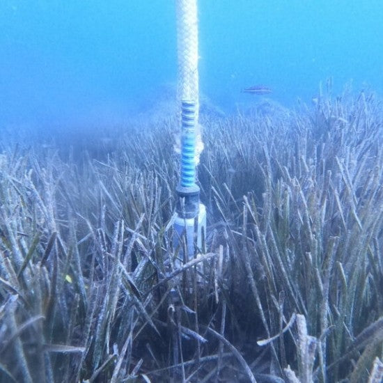 Temano® Underwater drilled anchors